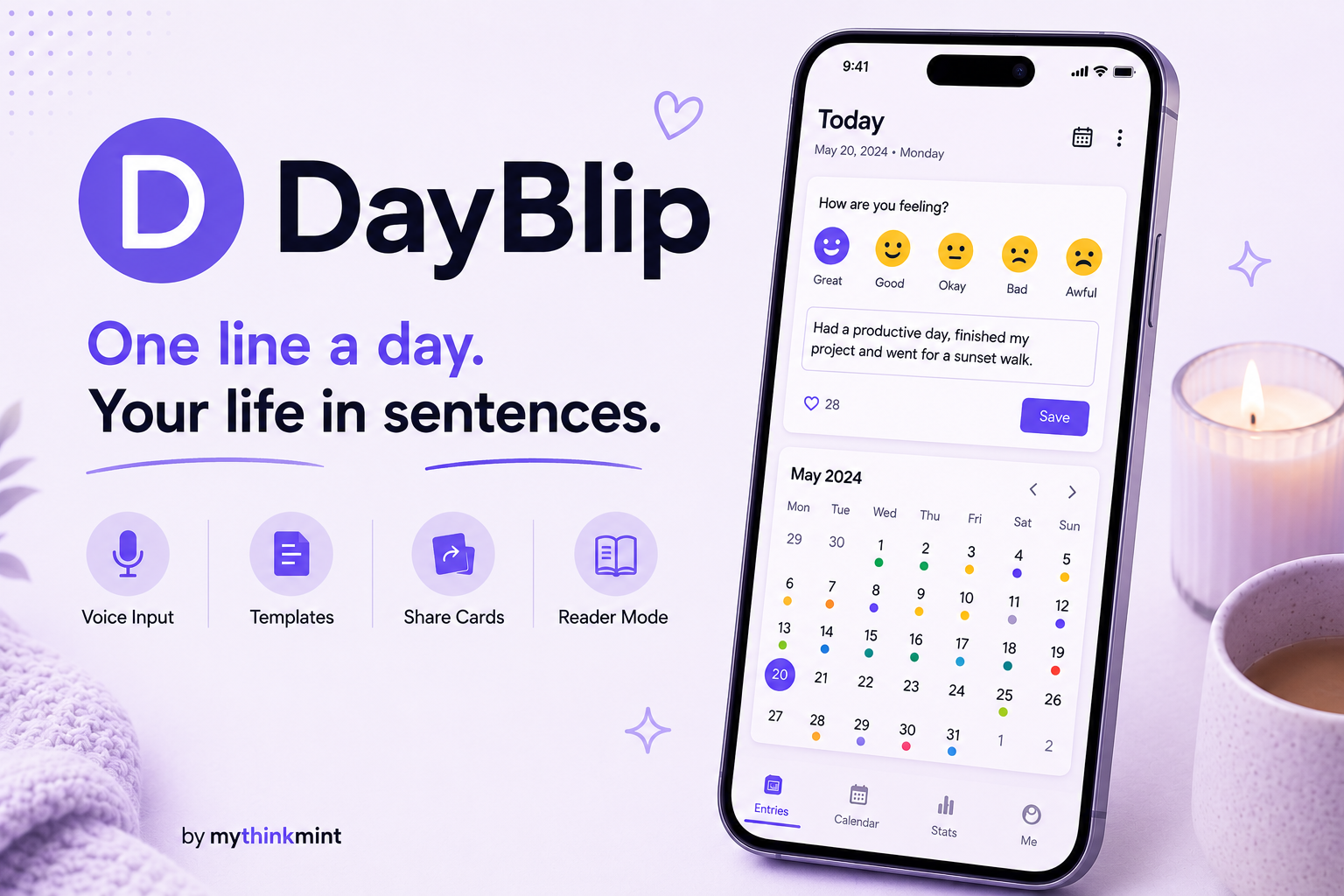 DayBlip Preview
